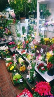 本年も宜しくお願いします。｜「西田花店」　（岐阜県大垣市の花キューピット加盟店 花屋）のブログ